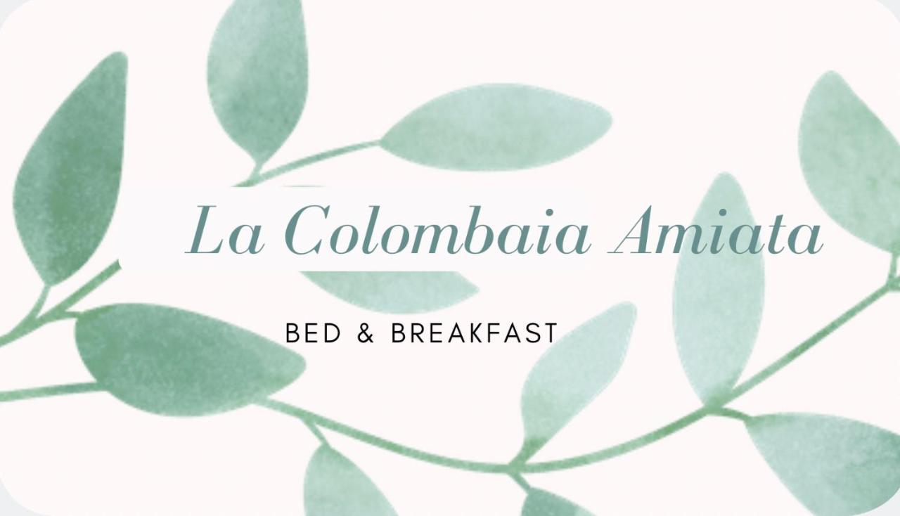 La Colombaia Amiata Bed & Breakfast Arcidosso Exterior photo